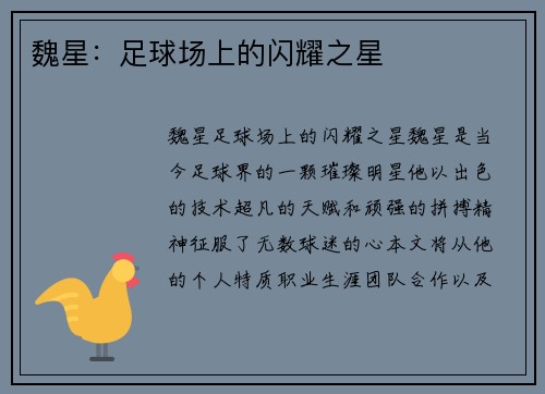 魏星：足球场上的闪耀之星